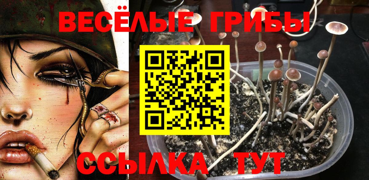 Псилоцибиновые грибы ЛСД  Галлюциногенные грибы мухоморы  где продают наркотики  Вход с VPN  Биробиджан 
