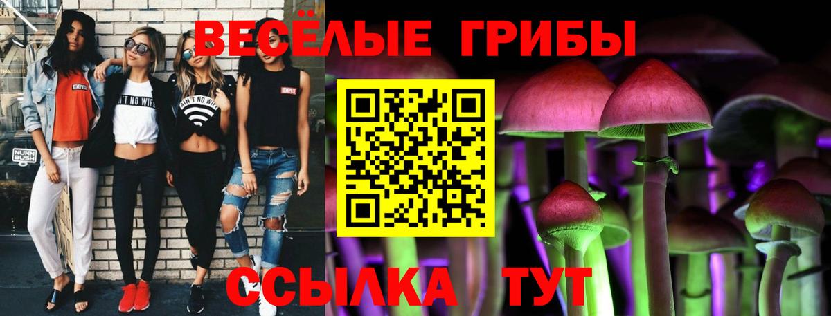 Галлюциногенные грибы ЛСД Биробиджан